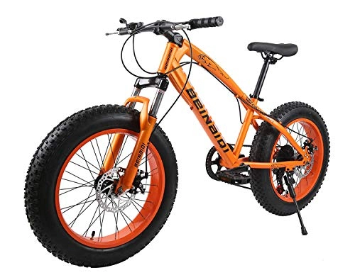Fat Tyre Bike : XCBY Mountain Bike, Fat Bicycles - 26 Inch, Dual Disc Brakes, Wide Tires, Adjustable Seats Orange-21Speed
