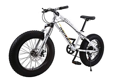 Fat Tyre Bike : XCBY Mountain Bike, Fat Bicycles - 26 Inch, Dual Disc Brakes, Wide Tires, Adjustable Seats White-21Speed
