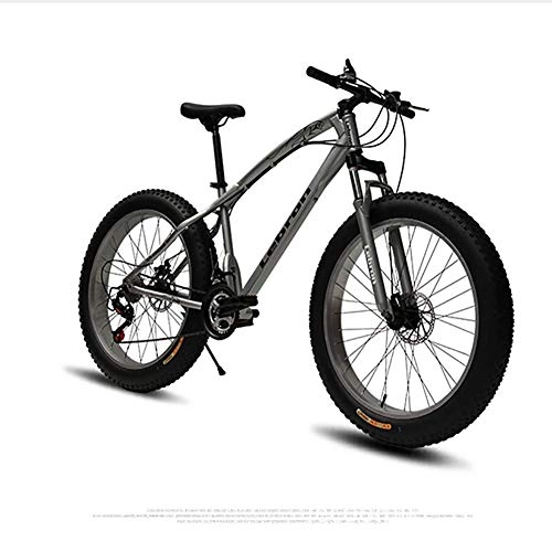 Fat Tyre Bike : XIAOFEI Steel Disk Brake 4.0 Fat Big Tire 26 Inch Manufacturer Mtb Mountain Bike And Beach Bike, Electrostatic Painting Fat Bike With Mechanical Disc Brake, A2, 24
