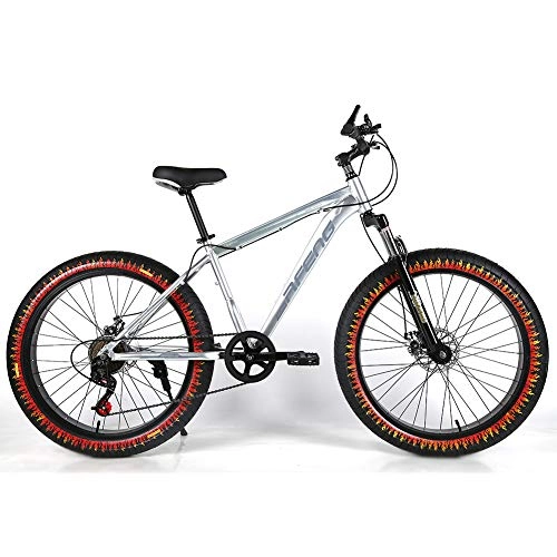 Fat Tyre Bike : YOUSR Kids Mountainbike Hardtail FS Disk Fat Bike With full suspension for men and women Silver 26 inch 30 speed