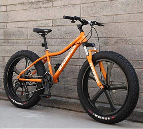 Fat Tyre Bike : ZHTY Mountain Bikes, 26Inch Fat Tire Hardtail Snowmobile, Dual Suspension Frame And Suspension Fork All Terrain Men's Mountain Bicycle Adult