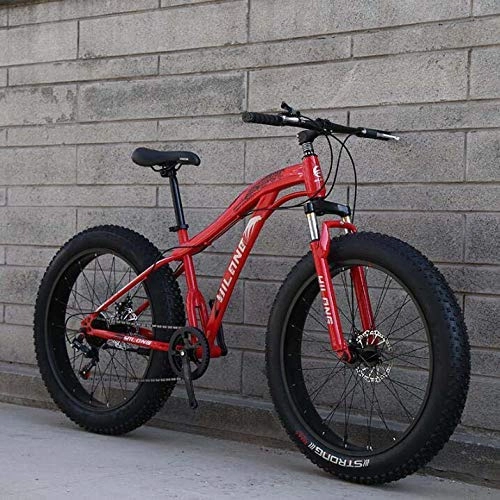 Fat Tyre Bike : ZTBXQ Fitness Sports Outdoors Mountain Bikes Fat Tire Hardtail High Carbon Steel Frame Mountain Bicycle Spring Suspension Fork Mountain Bike Double Disc Brake