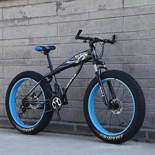 Fat Tyre Bike : ZTYD Mountain Bike, 24" / 26" Big Wheel Snow Bike, 21-Speed Dual Disc Brake, Strong Shock-Absorbing Front Fork, Outdoor Off-Road Beach Bike, E, 26 inch