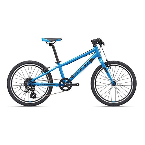 Mountain Bike : 8haowenju 20 Inch - 8 Speed Youth Bike, Straight Handlebar, Aluminum Alloy, Beginners, Families And Gifts (Color : Blue, Edition : 20 Inch)