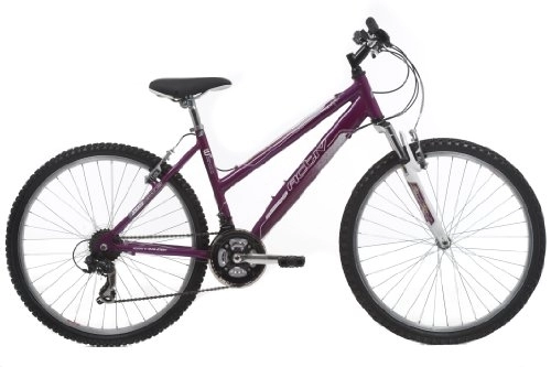 Mountain Bike : Activ by Raleigh Womens Alloy Mountain Bike - Plum, 26-inch Wheel, 17 Inch Frame