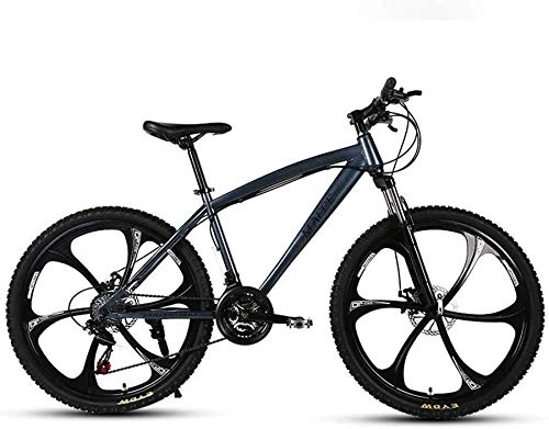 Mountain Bike : Adult 24 Inch Mountain Bike, Beach Snowmobile Bicycle, Double Disc Brake Bicycles, Aluminum Alloy Wheels, Man Woman General Purpose (Color : Grey, Size : 24 speed)