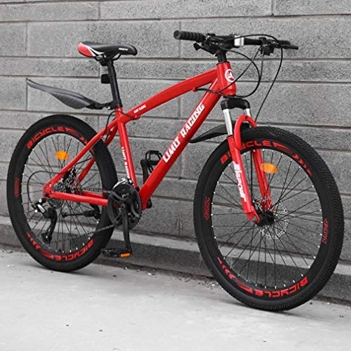 Mountain Bike : Adult Mountain Bike, High-Carbon Steel Frame Beach Bicycle, Double Disc Brake Off-Road Snow Bikes, Aluminum Alloy 26 Inch Wheels