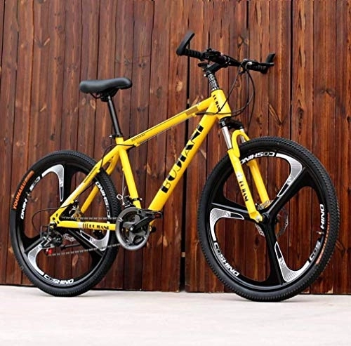Mountain Bike : Adult Mountain Bike, Juvenile Student City Road Racing Bikes, Double Disc Brake Off-Road Snow Bicycle, 24 Inch Wheels Beach Bicycles