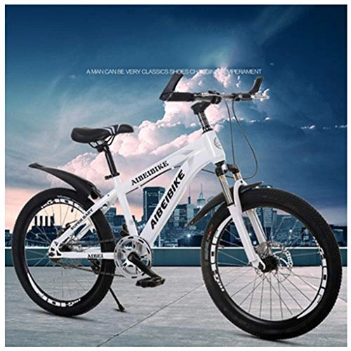 Mountain Bike : Adult Mountain Bike Single Speed Double Disc Brakes Shock Absorber Student Mountain Bike Shock Absorber Bicycle City Racing, White, 24inches