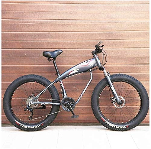 Mountain Bike : Aoyo Sport Bike, Beach, Fat Tire, Bike, 26 Inch 24 Speeds, Aluminum Alloy, MTB, Front Suspension Double Disc Brake, Beach, Mountain Trail Bicycle, All-Terrain (Color : Grey)