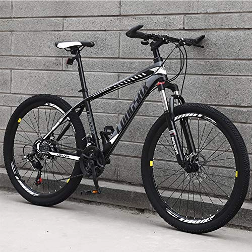 Mountain Bike : AP.DISHU 21 Speeds Mountain Bike, Unisex, Front+Rear Mudgard 24 / 26 Inch Wheels, Gray, 26inch