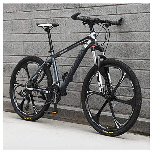 Mountain Bike : Chenbz Outdoor sports 21 Speed Mountain Bike 26 Inches 6Spoke Wheel Front Suspension Dual Disc Brake MTB Bicycle, Gray