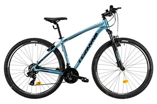 Mountain Bike : DHS Teranna 29 Inch 45 cm Men 21SP Rim Brakes Blue