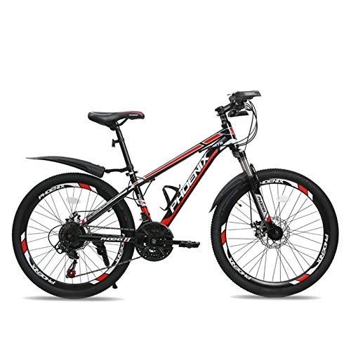 Mountain Bike : FUFU 24 Inch Mountain Bike, 21-Speed Bicycle Full Suspension ​​Gears Dual Disc Brakes Mountain Bicycle (Color : C)