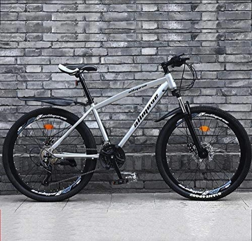 Mountain Bike : GQQ Mountain Bike, 24 inch Mountain Bikes High-Carbon Steel Hardtail Mountain Bike Front Suspension Adjustable Seat Mountain Bicycle, Silver, 21 Speed