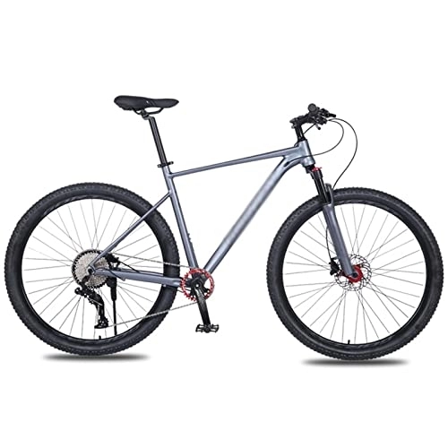 Mountain Bike : HESNDzxc Bicycles for Adults Frame Aluminum Alloy Mountain Bike Bicycle Double Oil Brake Front; Rear Quick Release Lmitation Carbon (Color : Gray)