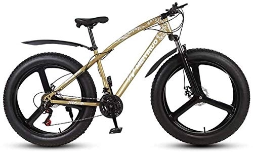 Mountain Bike : HYCy Mens Adult Fat Tire Mountain Bike, Variable Speed Snow Bikes, Double Disc Brake Beach Cruiser Bicycle, 26 Inch Magnesium Alloy Integrated Wheels