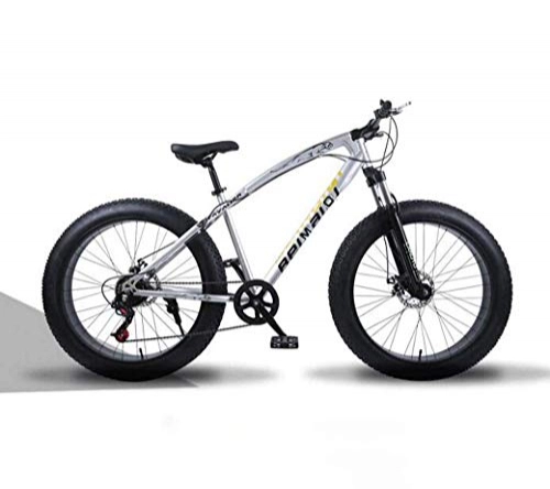Mountain Bike : JYTFZD WENHAO Mountain Bikes, 24 Inch Fat Tire Hardtail Mountain Bike, Dual Suspension Frame and Suspension Fork All Terrain Mountain Bicycle, Men's and Women Adult (Color : Silver spoke)