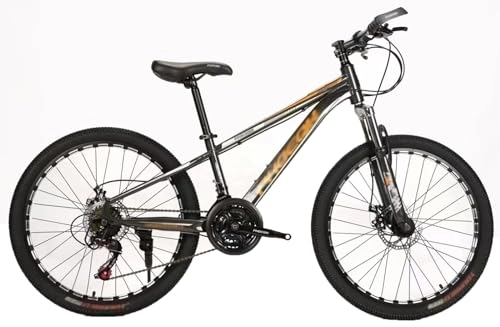 Mountain Bike : Kcolic 26 Inch Mountain Bike, Disc Brake Bicycle, 21 Gear Shifter, Sporty Appearance, Full Suspension, Fully MTB D, 26inch
