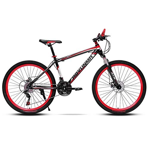 Mountain Bike : LNX 24 inches Mountain Bike Unisex - Double disc brakes Variable speed - off road vehicle - Youth Student Bicycle (21 / 24 / 27 speed)