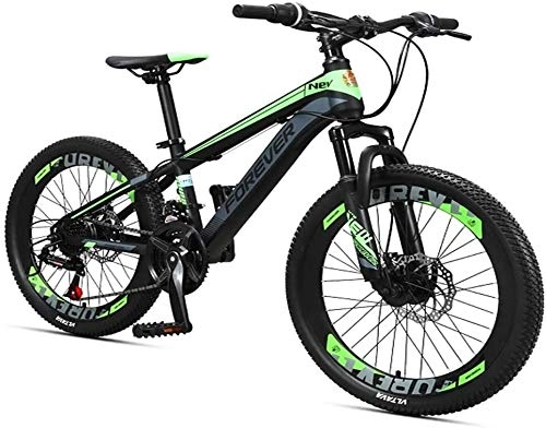 Mountain Bike : Lyyy Kids Mountain Bikes, 24 Speed Dual Disc Brake Mountain Bicycle, High-carbon Steel Frame, Boys Girls Hardtail Mountain Bike, 24 Inches YCHAOYUE (Color : Green, Size : 24 Inches)
