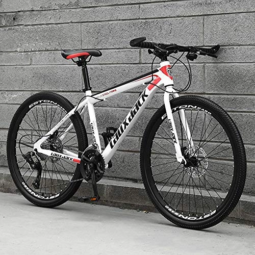 Mountain Bike : Mountain Bike 26 Inches 21 Speed, Double Disc Brake Frame Bicycle Hard Tail Belt Adjustable Seat, Male and Female Youth City Bicycle, 1