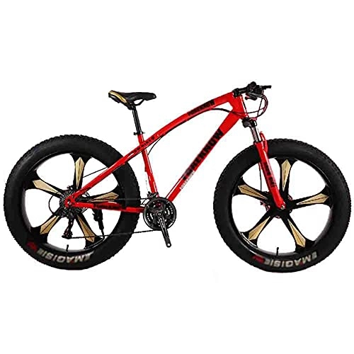 Mountain Bike : N / Z Home Equipment Bike Bicycle Adult Big Tire Beach Snowmobile Bicycles Mountain Bike For Men And Women 26IN Wheels Adjustable Speed Double Disc Brake