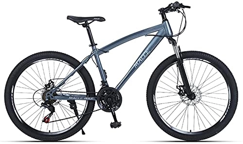 Mountain Bike : Qianglin Hardtail Mountain Bike, Youth Adult Men Women Road Bicycles, 21-30Speeds Options, Lightweight Steel Frame, Double Disc Brake and Suspension Fork