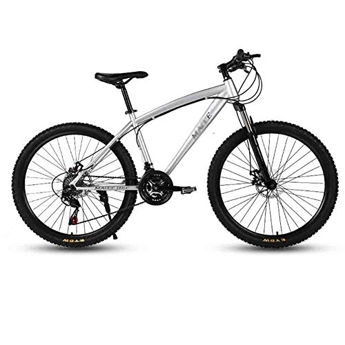 Mountain Bike : Road Bikes Mountain Bike Adult MTB Bicycle Road Bicycles For Men And Women 24In Wheels Adjustable Speed Double Disc Brake Off-road Bike (Color : Gray, Size : 24 speed)