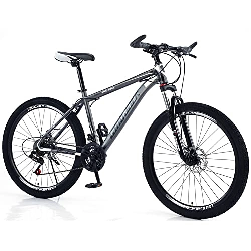 Mountain Bike : RSTJ-Sjef 27 Speed 26 Inch Mountain Bike High-Carbon Steel Frame with Double Disc Brake And Shock-Absorbing Front Fork, Trail Bicycle for Men Women Adult, Gray