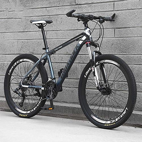 Mountain Bike : Stylish Mountain Bikes Bicycles 24 Speeds Lightweight Carbon Steel Frame Disc Brake Spoke Wheel Men And Women Road Bike, Gray, 26inch