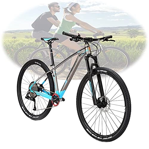 Mountain Bike : Tbagem-Yjr 29 Inch 13 Speed Aluminum Alloy Frame Mountain Bike Spoke Wheel Bicycle Full Suspension MTB Men's Ladies MTB Blue