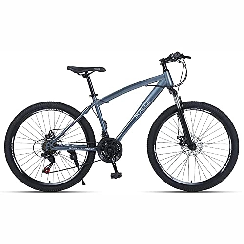 Mountain Bike : UYHF Mountain Bike, Youth Adult Men Women Road Bicycles, 21-30 Speeds Options, Lightweight Steel Frame, Double Disc Brake Silver-24inch / 30Speed