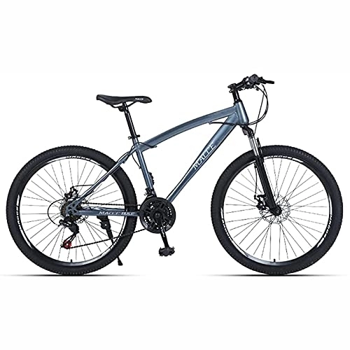 Mountain Bike : UYHF Mountain Bike, Youth Adult Men Women Road Bicycles, 21-30 Speeds Options, Lightweight Steel Frame, Double Disc Brake Silver-26inch / 21Speed