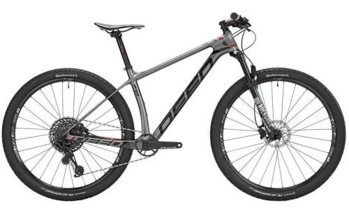 Mountain Bike : Vector Pro 291 29 Inch 39 cm Men 12SP Hydraulic Disc Brake Grey