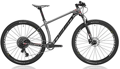 Mountain Bike : Vector Pro 292 29 Inch 39 cm Men 12SP Hydraulic Disc Brake Grey