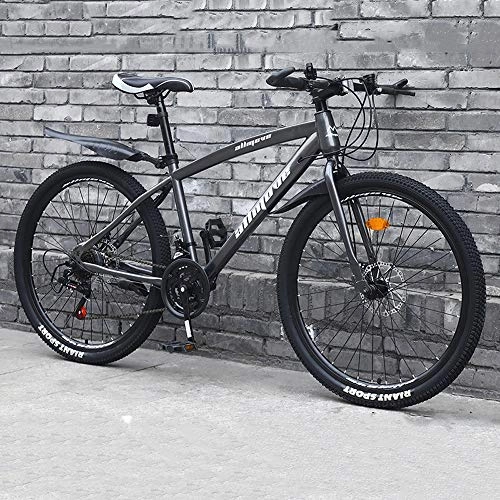 Mountain Bike : XSLY Adult 24 Inch Mountain Bike 21 / 24 Speed Beach Snowmobile Bicycle, Double Disc Brake Bicycles High-carbon Steel Frame Bold Mountain Wheels Man Woman General Purpose Off-road Bicycle