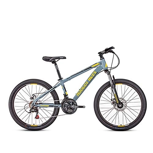 Mountain Bike : YQ&TL Adult Mountain Bike, Mountain Trail Bike High Carbon Steel Outroad Bikes, 24 inch 21 Speed Bicycle Full Suspension MTB Gears Disc Brakes Mountain Bicycle C