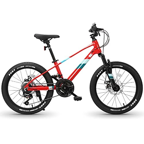 Mountain Bike : ZXQZ 20" Mountain Bikes, Mountain Trail Bike, 21 Speed Bicycle, Magnesium Alloy Frame Mechanical Double Disc Brake (Color : Red)