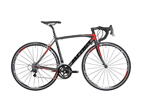 Road Bike : Bicycle Bike Racing Atala SLR 200Anthracite / Red 10V Wellness 2015model