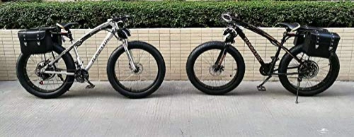 Road Bike : EE Bike 1000W 60V Electric Bike Roadstar G2 Silver Available