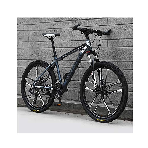 Road Bike : FLZ BICYCLE Bicycle Disc Adult Mountain Suv, Adjustable Efficient Before and after Double Disc Brake Band Bracket It Applies to City Rural Light BICYCLE / Red / 21 speed / 24 inches