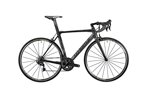 Road Bike : Road Bike Whistle Mod. Sauk Ultegra, 28, "Exchange 22Speed Frame, Size 56(186195cm)