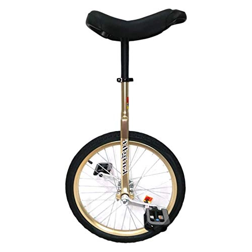 Unicycles : 24" Wheel Unisex Unicycle For Short / Medium / Tall Adults, Teens, Juggling Cycling Bike With Alloy Rim, Balancing Exercise Outdoor Sports (Color : GOLD, Size : 24IN WHEEL)
