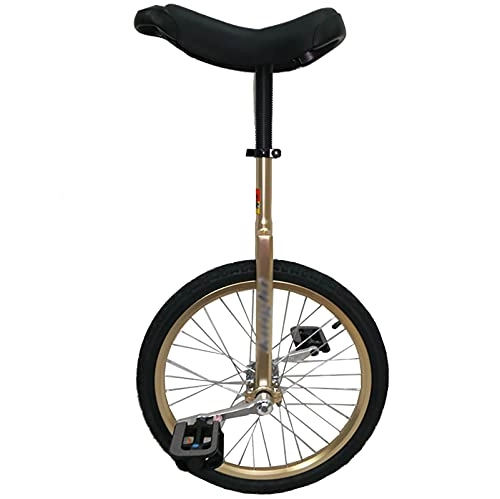 Unicycles : 24inch Adult / Big Kids Unicycle Beginners / Teenagers / Mom / Dad Outdoor Balance Cycling Heavy Duty Frame Colored Tire Wheel Safe Comfortable (Color : Gold)