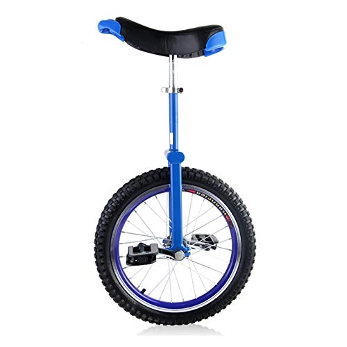 Unicycles : AHAI YU Competition Unicycle Balance Sturdy 24 Inch Unicycles For Beginner / Teenagers, With Leakproof Butyl Tire Wheel Cycling Outdoor Sports Fitness Exercise Health (Color : BLUE)