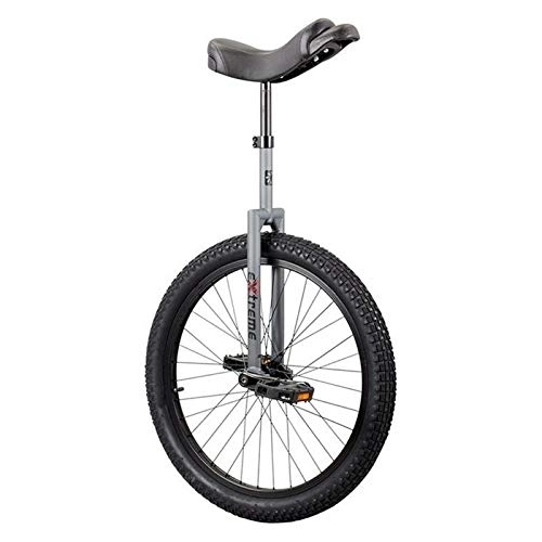 Unicycles : Flat Top Extreme DX Matte Gray 2014 20 Inch