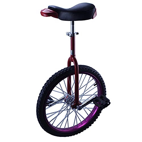 Unicycles : FMOPQ 16 / 18inch Wheel Unicycles for Kids 20 / 24inch Adults Female / Male Teen Balance Cycling Bike Fitness Safe Comfortable (Color : Purple Size : 16")