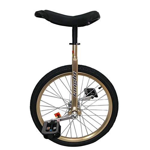 Unicycles : FMOPQ 20" / 24" Gold Unicycle for Big Kid / Teen / Adults / Female / Male for Fitness Exercise Beginner Skid Proof Wheel Alloy Rim Bike (Size : 20INCH)