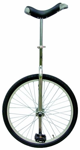 Unicycles : fun Unicycle - Silver, 24 Inch